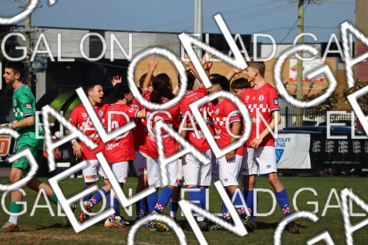 Melbourne Knights vs Oakleigh Cannons photo