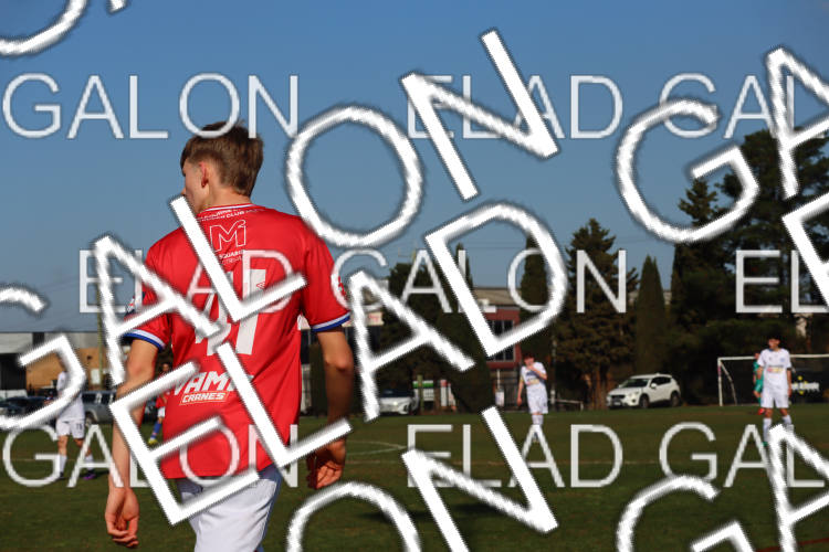 Melbourne Knights vs Oakleigh Cannons photo