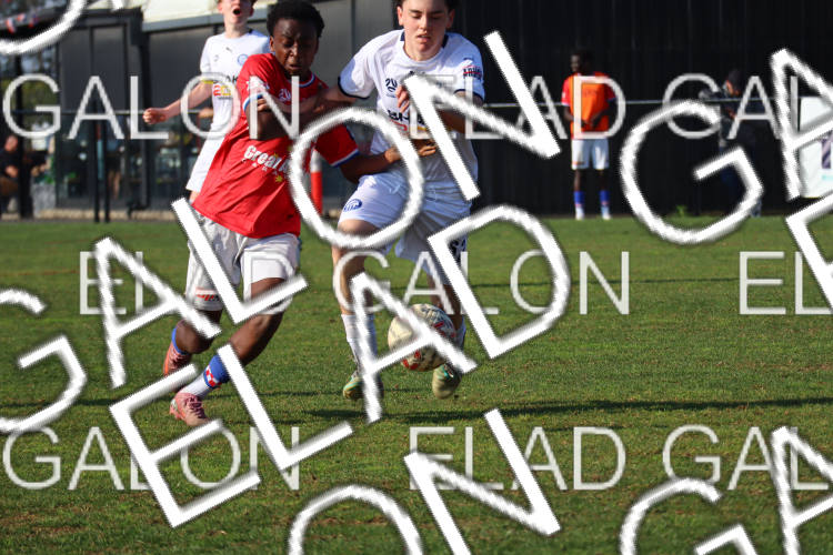 Melbourne Knights vs Oakleigh Cannons photo
