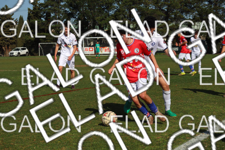Melbourne Knights vs Oakleigh Cannons photo