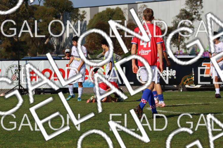 Melbourne Knights vs Oakleigh Cannons photo