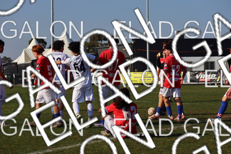 Melbourne Knights vs Oakleigh Cannons photo