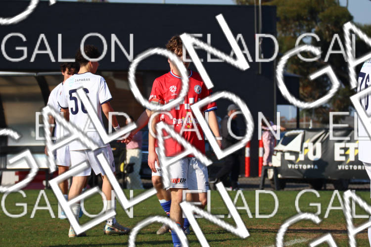 Melbourne Knights vs Oakleigh Cannons photo