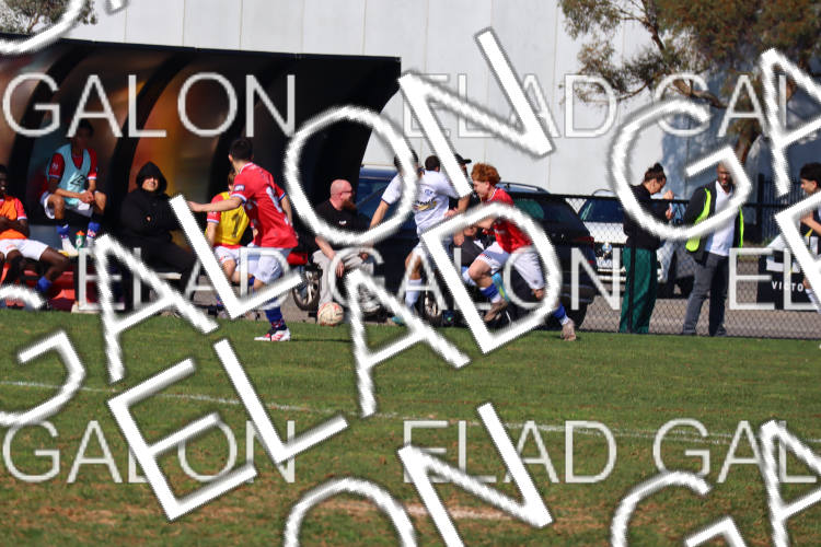 Melbourne Knights vs Oakleigh Cannons photo
