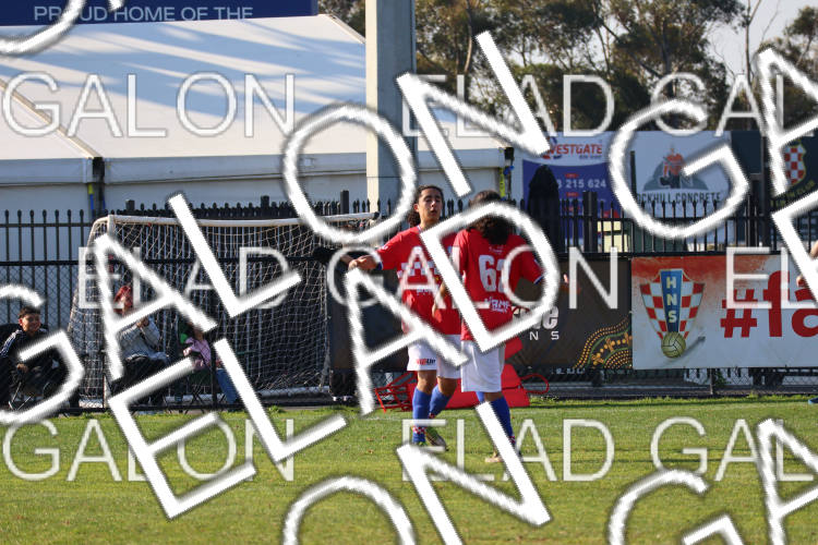 Melbourne Knights vs Oakleigh Cannons photo