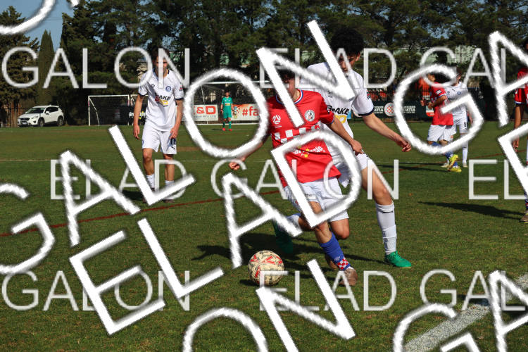 Melbourne Knights vs Oakleigh Cannons photo
