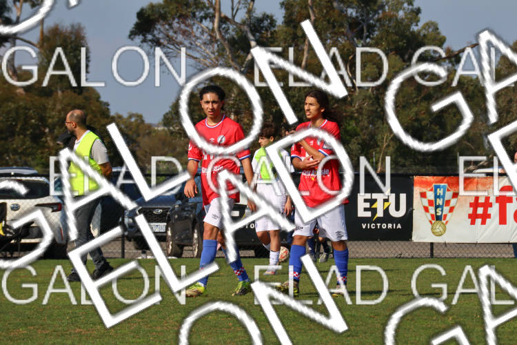 Melbourne Knights vs Oakleigh Cannons photo