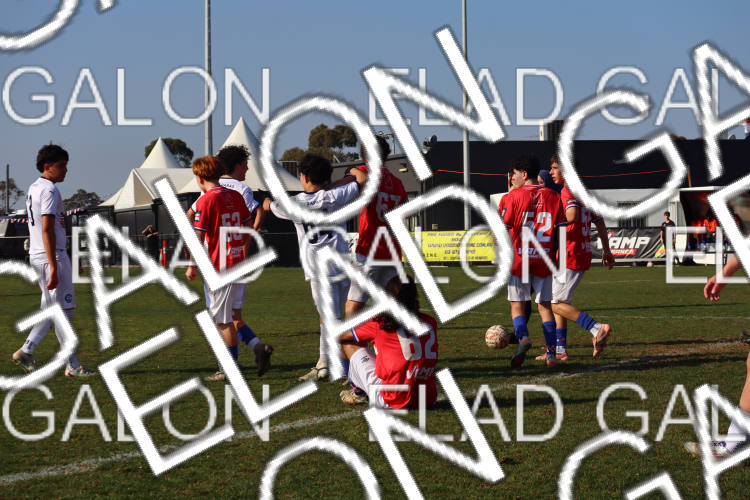 Melbourne Knights vs Oakleigh Cannons photo