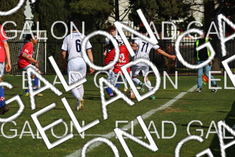 Melbourne Knights vs Oakleigh Cannons photo