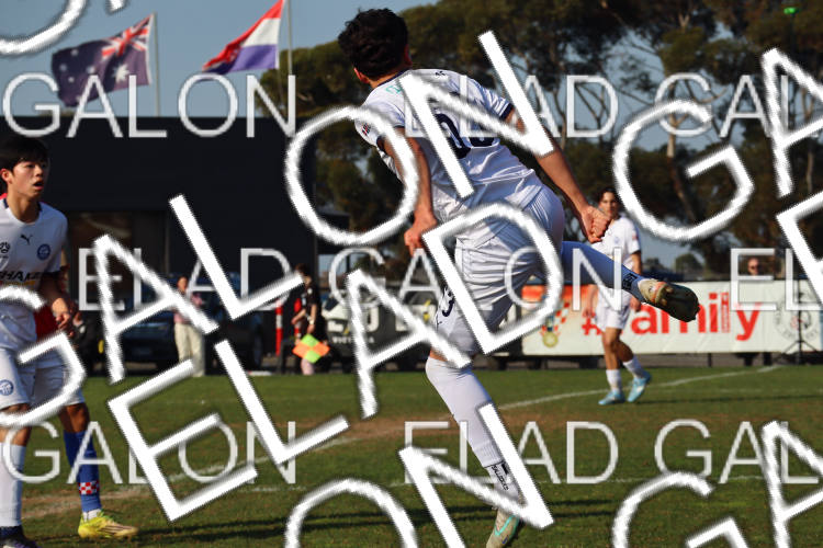 Melbourne Knights vs Oakleigh Cannons photo