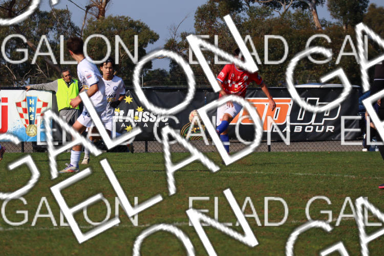 Melbourne Knights vs Oakleigh Cannons photo
