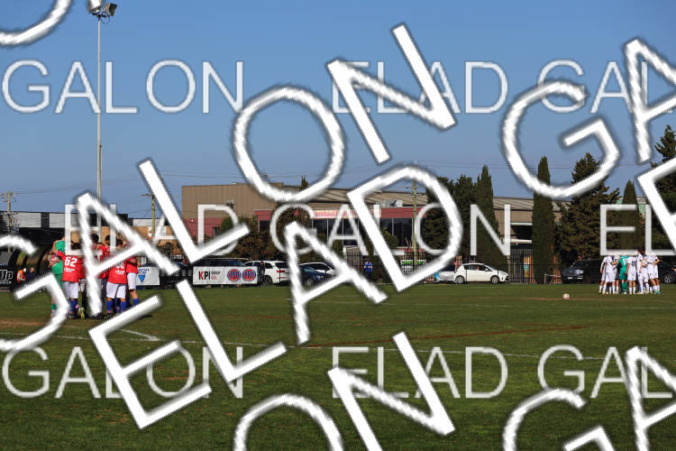 Melbourne Knights vs Oakleigh Cannons photo