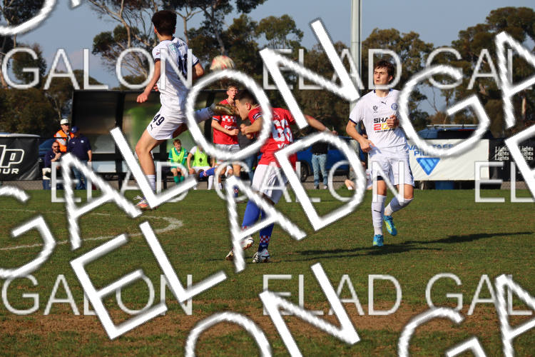 Melbourne Knights vs Oakleigh Cannons photo