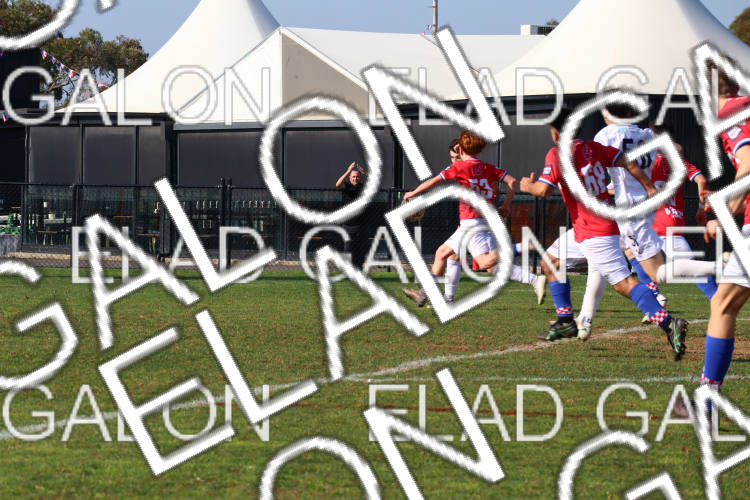 Melbourne Knights vs Oakleigh Cannons photo