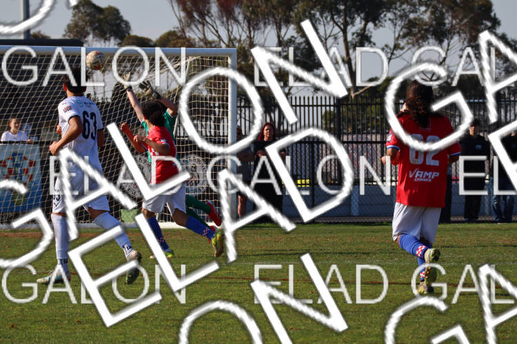 Melbourne Knights vs Oakleigh Cannons photo