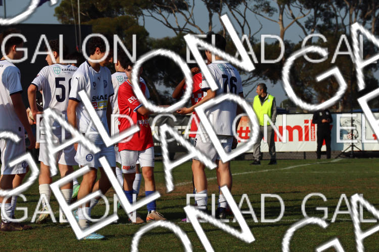 Melbourne Knights vs Oakleigh Cannons photo