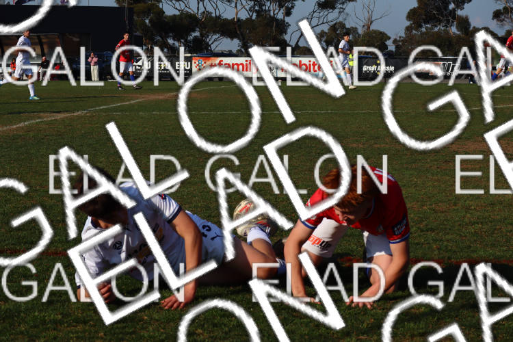 Melbourne Knights vs Oakleigh Cannons photo