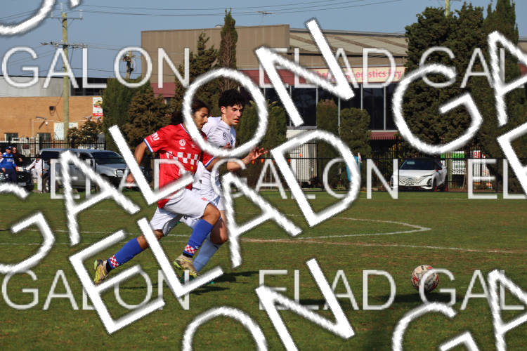 Melbourne Knights vs Oakleigh Cannons photo