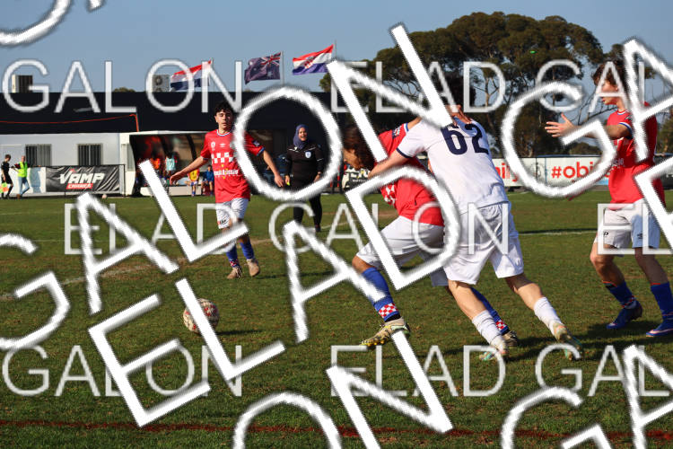 Melbourne Knights vs Oakleigh Cannons photo