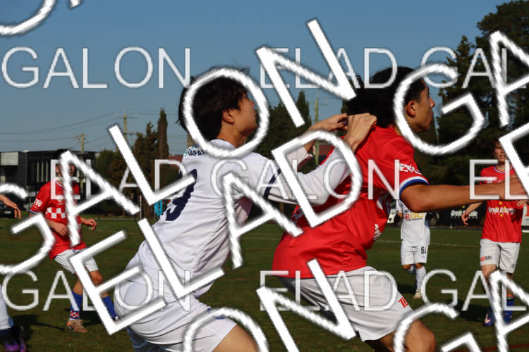 Melbourne Knights vs Oakleigh Cannons photo