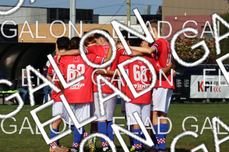 Melbourne Knights vs Oakleigh Cannons photo