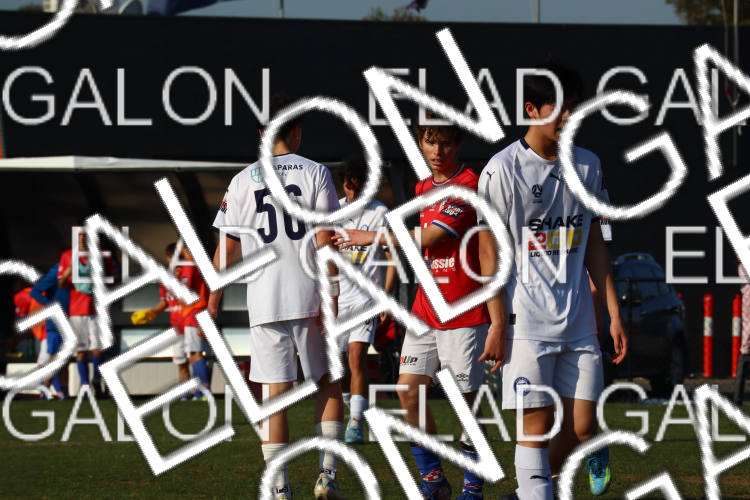 Melbourne Knights vs Oakleigh Cannons photo