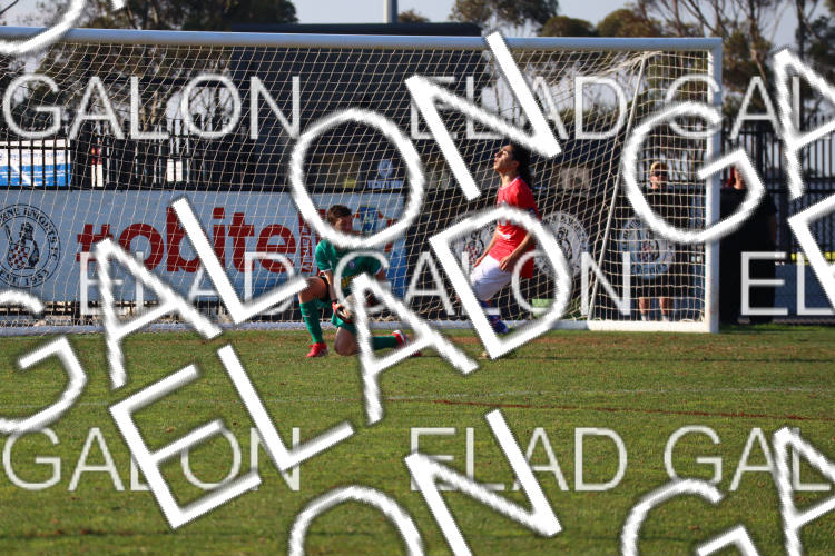 Melbourne Knights vs Oakleigh Cannons photo