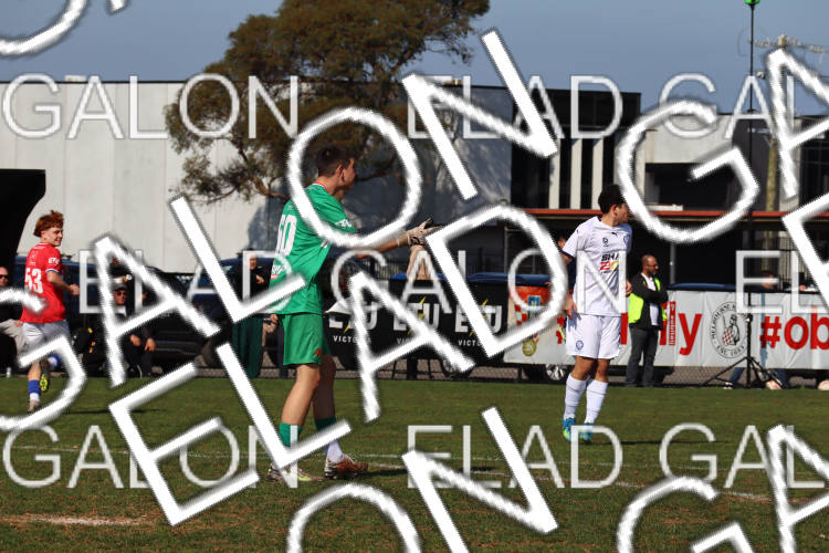 Melbourne Knights vs Oakleigh Cannons photo