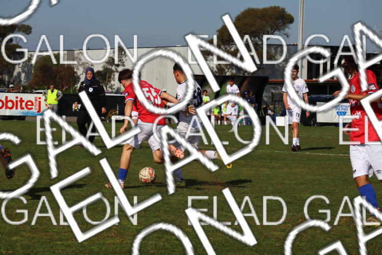 Melbourne Knights vs Oakleigh Cannons photo