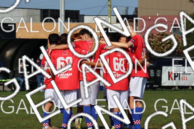 Melbourne Knights vs Oakleigh Cannons photo