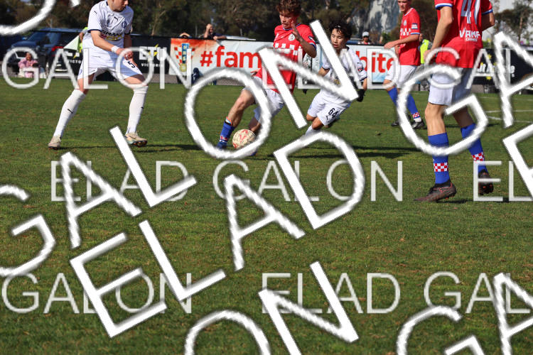 Melbourne Knights vs Oakleigh Cannons photo