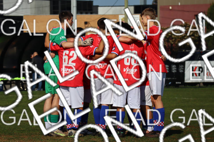 Melbourne Knights vs Oakleigh Cannons photo