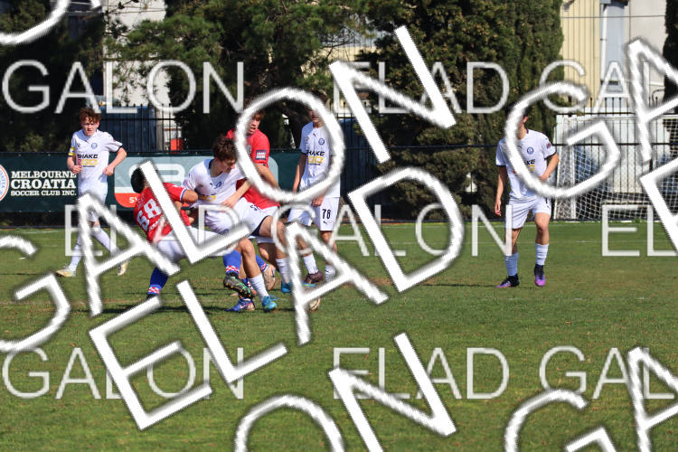 Melbourne Knights vs Oakleigh Cannons photo