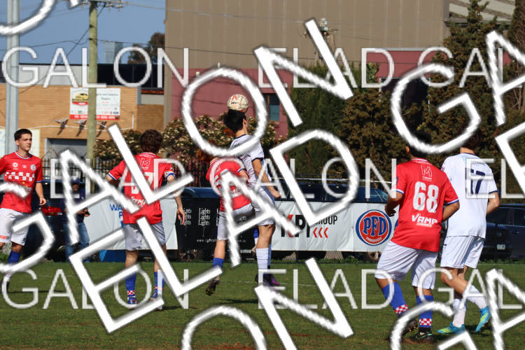 Melbourne Knights vs Oakleigh Cannons photo