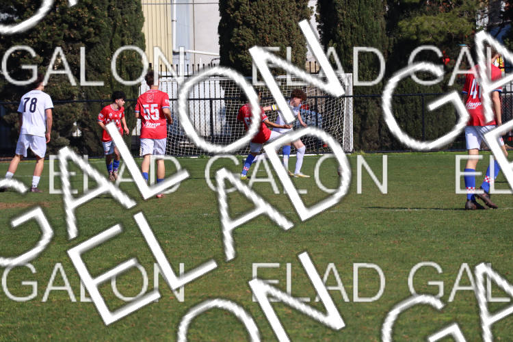 Melbourne Knights vs Oakleigh Cannons photo