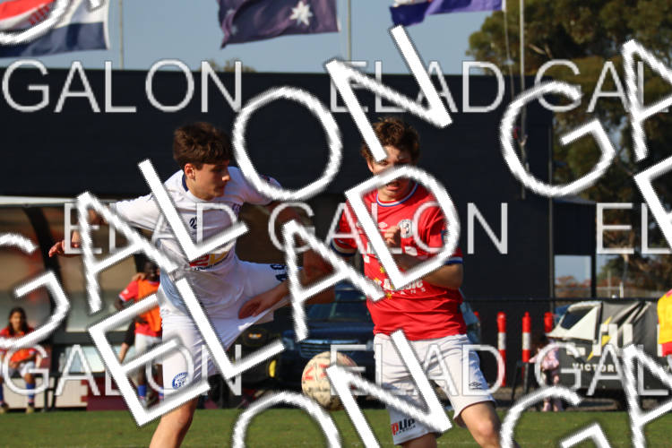 Melbourne Knights vs Oakleigh Cannons photo