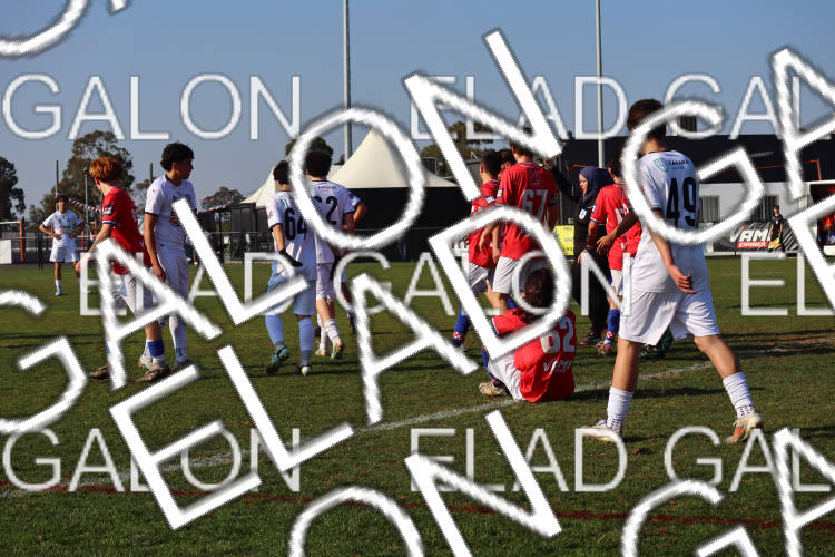 Melbourne Knights vs Oakleigh Cannons photo