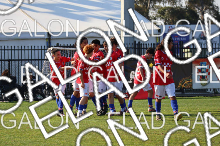 Melbourne Knights vs Oakleigh Cannons photo