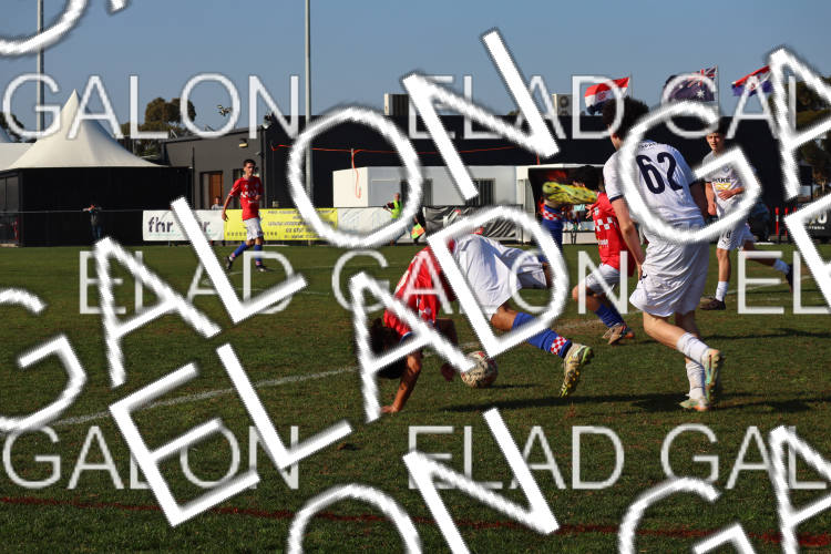 Melbourne Knights vs Oakleigh Cannons photo