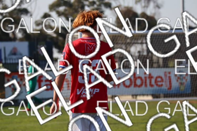 Melbourne Knights vs Oakleigh Cannons photo