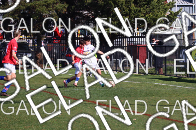 Melbourne Knights vs Oakleigh Cannons photo
