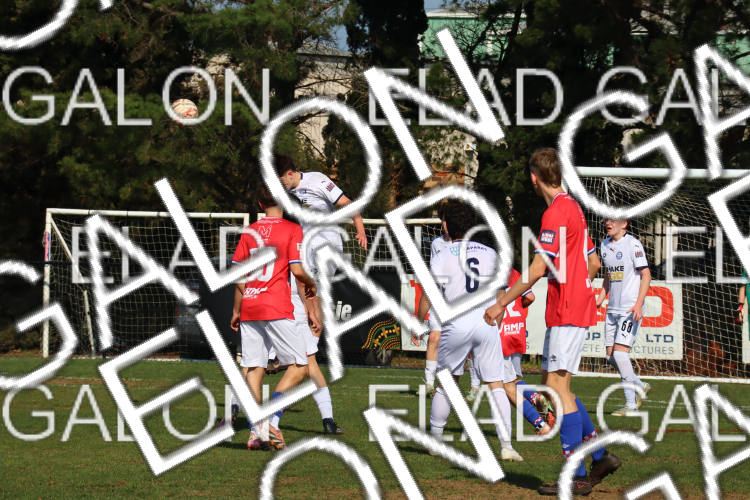 Melbourne Knights vs Oakleigh Cannons photo
