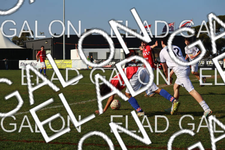 Melbourne Knights vs Oakleigh Cannons photo