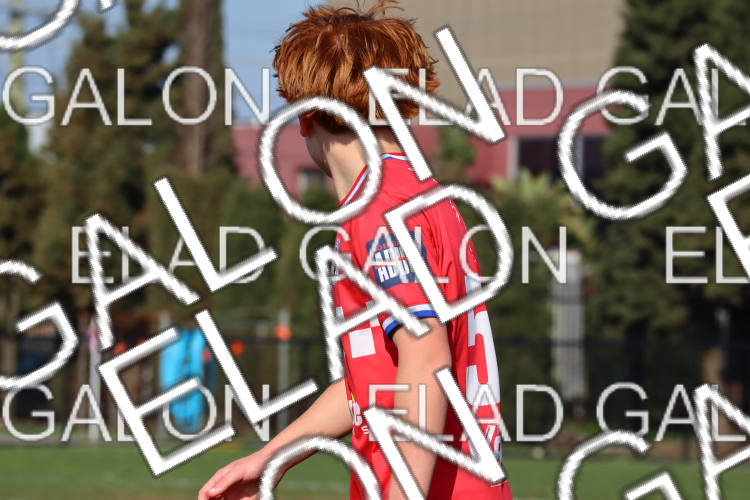 Melbourne Knights vs Oakleigh Cannons photo