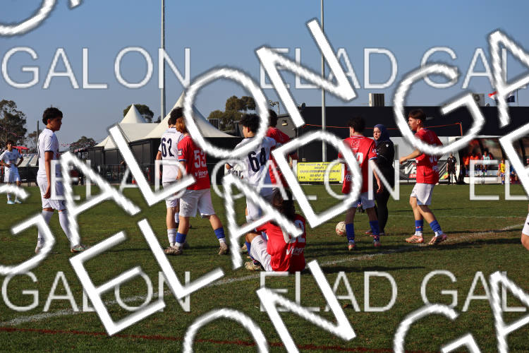 Melbourne Knights vs Oakleigh Cannons photo