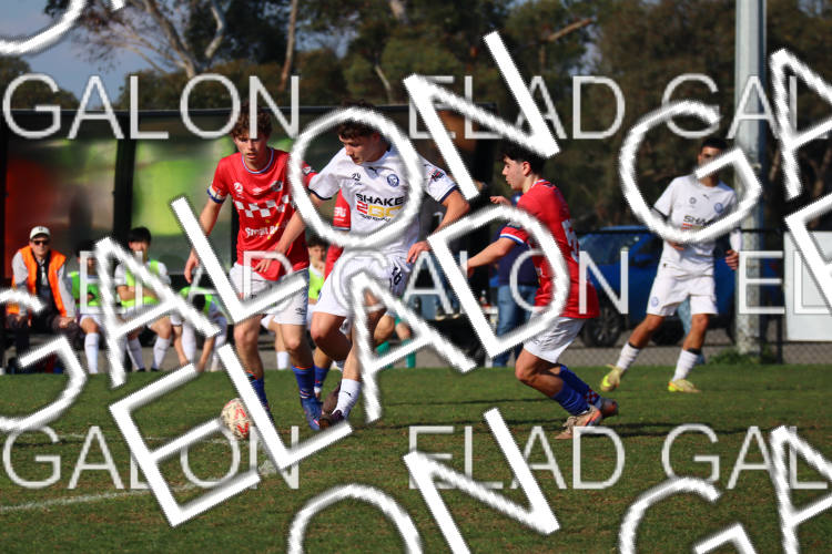 Melbourne Knights vs Oakleigh Cannons photo