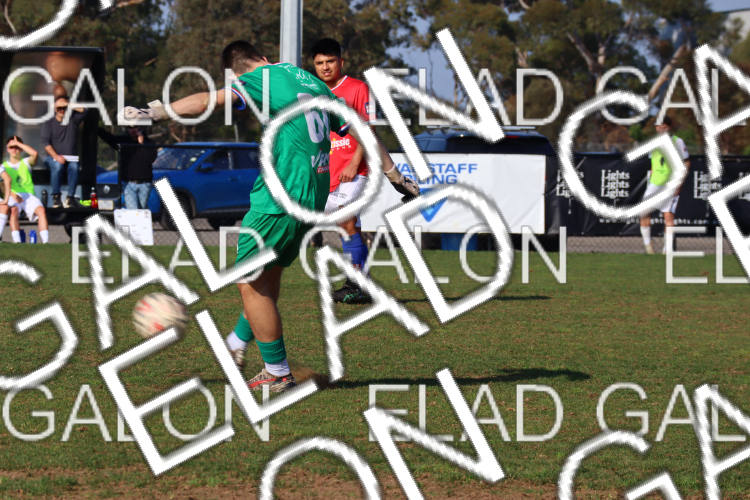 Melbourne Knights vs Oakleigh Cannons photo