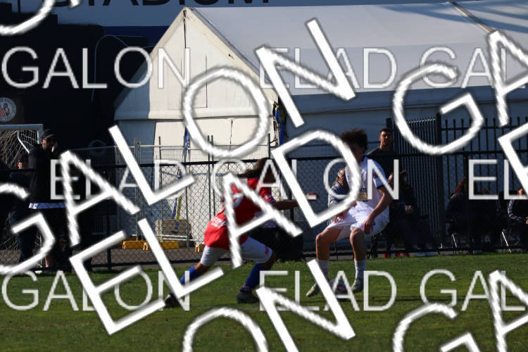 Melbourne Knights vs Oakleigh Cannons photo