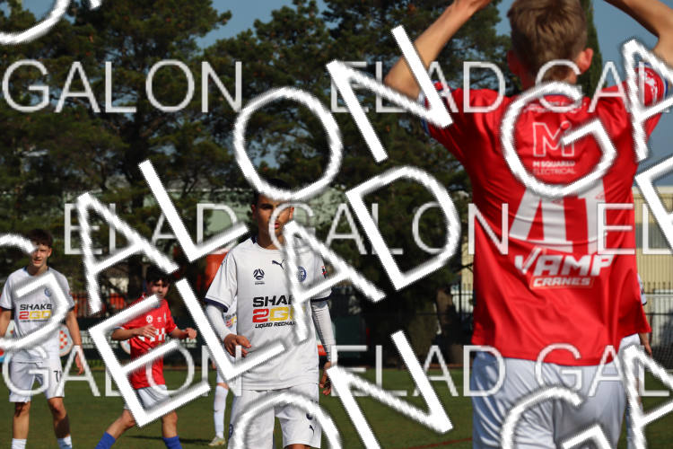 Melbourne Knights vs Oakleigh Cannons photo