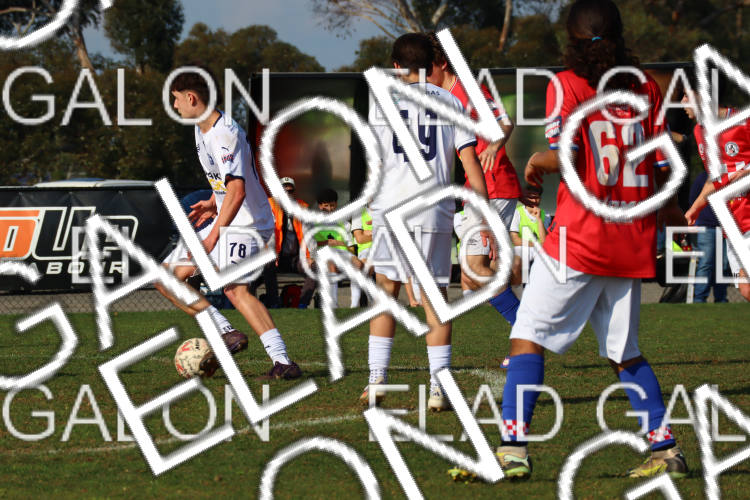 Melbourne Knights vs Oakleigh Cannons photo